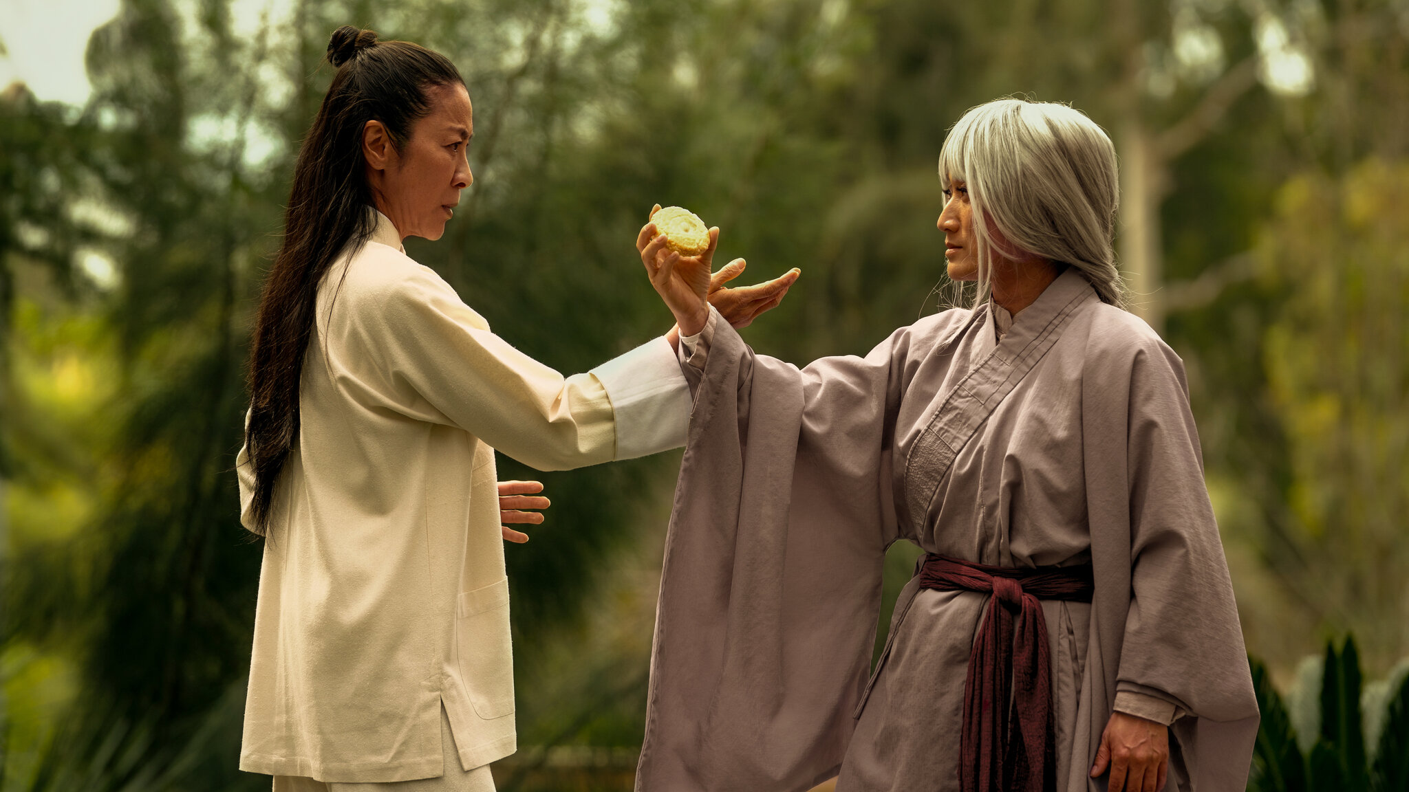 King fu fighters